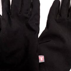 Handschoenen Zwart, zoals gemeld door Arriva Friesland / Groningen met iLost