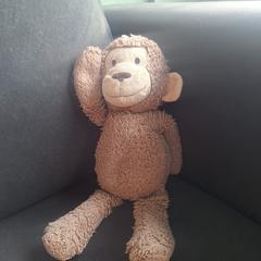 Knuffel aap, iLost'a bildirildiği gibi