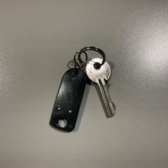 Nyckel Zwart labeltje, rapporterat av Pinkpop med iLost