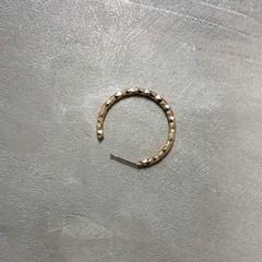 Schmuck Goud, gemeldet von Arriva Friesland / Groningen über iLost