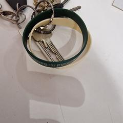 Sleutelbos, zgłoszono przez allGo Almere przy użyciu iLost