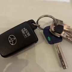 Sleutelbos, iLost'a bildirildiği gibi