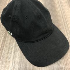 Pet, segundo informou Pathé Helmond usando iLost