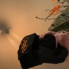 Beanie Zwart, gemeldet von Regio Limburg - Leuven über iLost