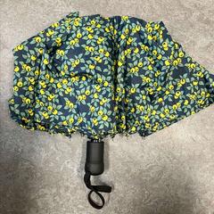 Sammenleggbar paraply, som rapportert av Connexxion Noord Holland Noord Alkmaar ved bruk av iLost