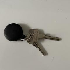 Sleutels, jak bylo nahlášeno na iLost