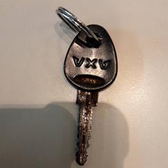 鍵 Zwart がiLostで LUMC によって報告されました