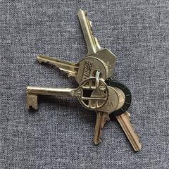 sleutelbos, as reported to iLost