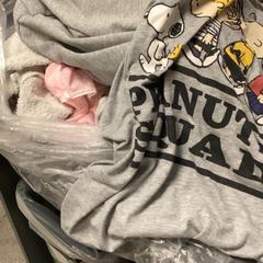 Oblečenie T-shirt, underwear, grey hoodie, towel, ako bolo nahlásené MEININGER Hotel Copenhagen pomocou iLost