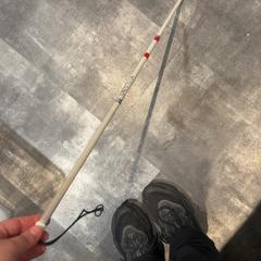 Trzcina prowadząca blind, zgłoszono przez Pathé Nijmegen przy użyciu iLost