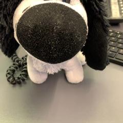 كنوفل، كما تم الإبلاغ عنه بواسطة Eindhoven Airport عبر iLost