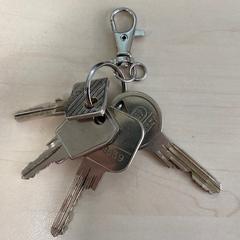 Sleutelbos, iLost에 보고됨