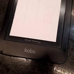 Ereader, gisa salatu by Rotterdam The Hague Airport iLost erabiliz