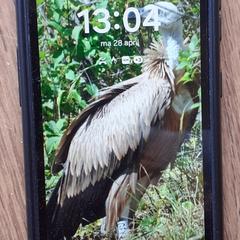 Smartphone, amint azt az iLostnak jelentették.