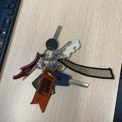 Kľúče, ako bolo nahlásené Gemeente Arnhem pomocou iLost