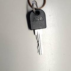 Kulcs, amint azt Burgers' Zoo az iLost segítségével jelentette.