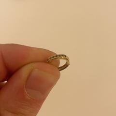 Earring, as reported by Pathé Schiedam using iLost