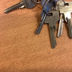 Sleutels, zgłoszono przez Gemeente Amsterdam przy użyciu iLost