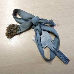 Kľúč, ako bolo nahlásené Regio Limburg - Leuven pomocou iLost