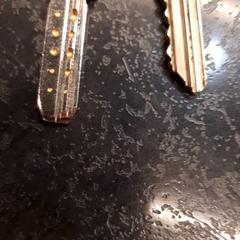 Schlüssel, gemeldet von Rotterdam The Hague Airport über iLost