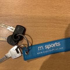 Chaves, como reportado por Gemeente Amsterdam utilizando o iLost