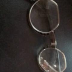 Glasses, as reported by Apenheul using iLost