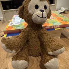 Slaap knuffel がiLostに報告されました