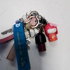 Nyckelring, rapporterat av Hermes Eindhoven med iLost