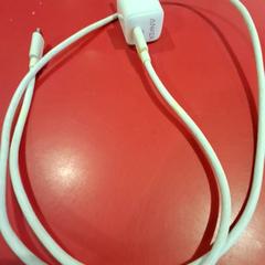 Adapter Usb-C, as reported by Fjord Line – MS Stavangerfjord / Bergensfjord using iLost