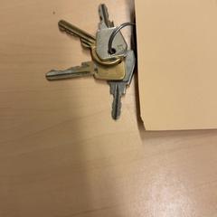 Keys sleutles, as reported by RET using iLost