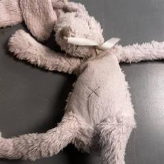 Mysig leksak, rapporterat av Diergaarde Blijdorp med iLost