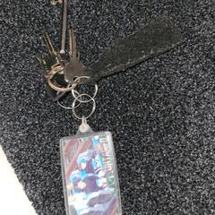 Sleutelbos, segons s'ha informat a iLost