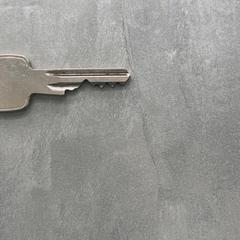 Sleutel, zoals gemeld door RRReis Arriva Achterhoek-Rivierenland met iLost