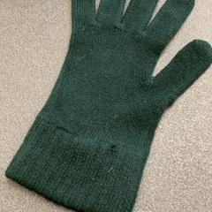 グローブ Wolle grün がiLostで Schönbrunn "Group Center" によって報告されました