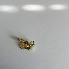 Bedeltje, iLost에 보고됨