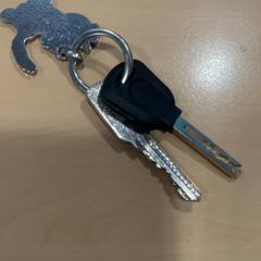 Chiavi, come riportato da Jaarbeurs utilizzando iLost