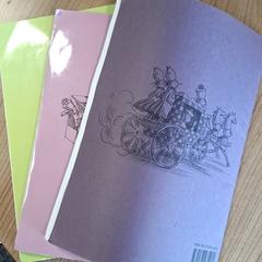 Boeken, a été signalé par Connexxion Haarlem AML utilisant iLost