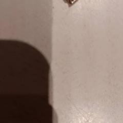 Fahrradschlüssel, gemeldet von De Efteling über iLost