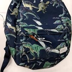 Motxila, gisa salatu by Arriva Limburg Zuid iLost erabiliz