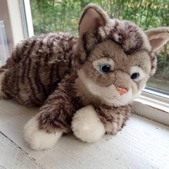 Kosete leke Poesje, som rapportert av DierenPark Amersfoort ved bruk av iLost