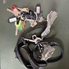 Keys & dog leash, iLost에 보고됨