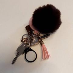 Keychain, as reported by Qbuzz ZHN using iLost