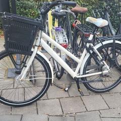 Kolo Wit, jak nahlášeno Gemeente Barneveld pomocí iLost