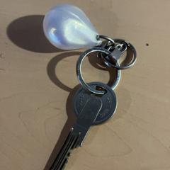 Sleutel, zoals gemeld door Jaarbeurs met iLost