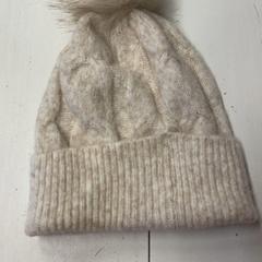 Muts, zoals gemeld door GVB met iLost