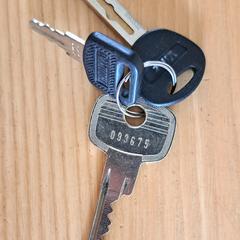 Sleutels, como reportado ao iLost