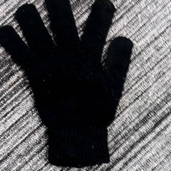 グローブ Zwart がiLostで Arriva Vechtdallijnen によって報告されました