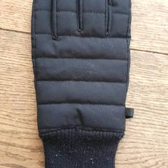 قفاز Links zwart، كما تم الإبلاغ عنه بواسطة DierenPark Amersfoort عبر iLost