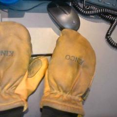 Guant, segons ha informat SnowWorld Landgraaf mitjançant iLost