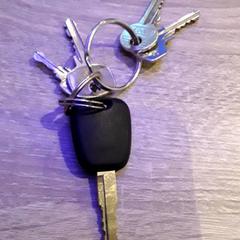 المفاتيح (متنوعة)، كما تم الإبلاغ عنه بواسطة EBS Tramplein عبر iLost